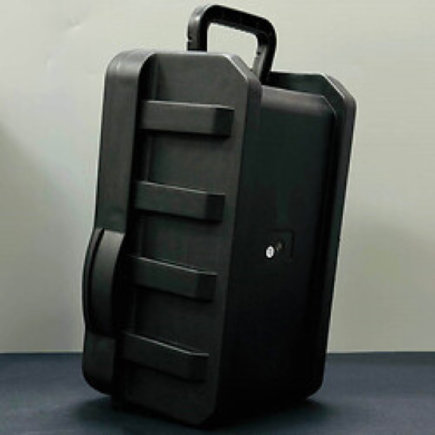 Sing-e ZQS8166W: نظام الصوت الاحترافي (40 سم)